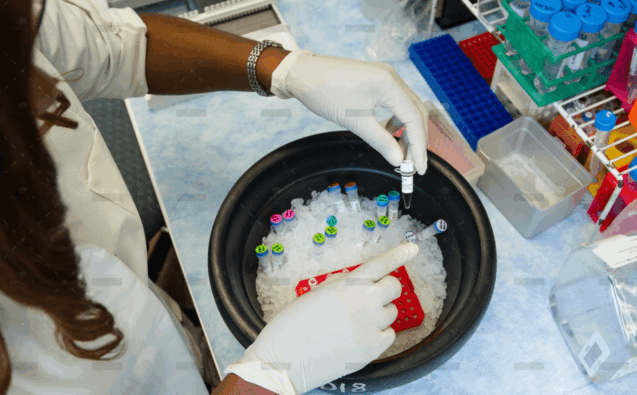 demo-attachment-944-blog-5-img-1